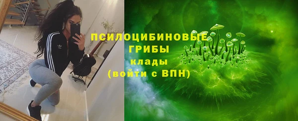 соль курить ск Богородицк