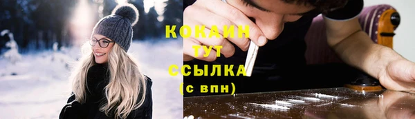 PSILOCYBIN Богданович