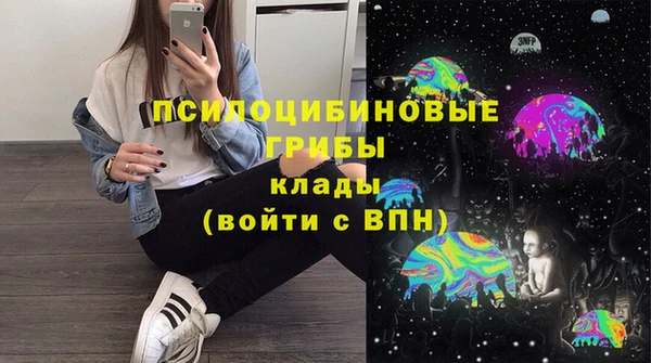 PSILOCYBIN Богданович
