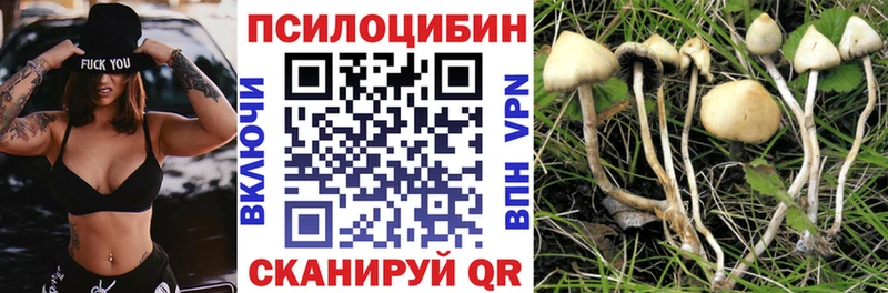 Псилоцибиновые грибы мухоморы  нарко площадка состав  Городовиковск  kraken tor 